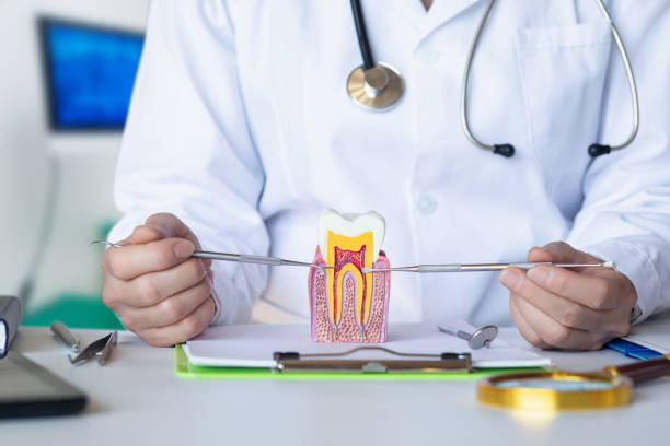 Best Emergency Treatment for Oral Infections in Granby, CO